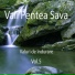 Vali Pentea Sava
