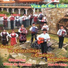 Grupo De Cantares e Cantigas Regionais