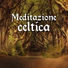 Rilassante Accademia Musica Zen