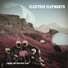 Electric Elephants