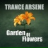 Trance Arsene
