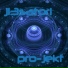 J13satori