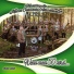 Musikkapelle kleiner Odenwald Allemühl e.V.