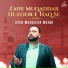 Syed Mudassir Mehdi