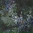 neoomode