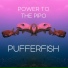 Power to the Pipo