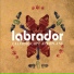 Labrador