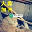 杰出青年乐队