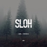 Voe l