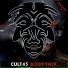 Cult 45
