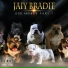 Jaiy Bradie