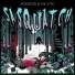 Monsters In The Attic