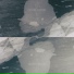 0010X0010