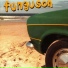 Funguson