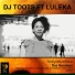 DJ Toots feat. Luleka