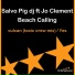 Salvo Pig Dj feat. Jo Clement