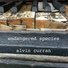 Alvin Curran