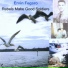 Ervin Fegaro