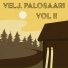 Veljekset Palosaari