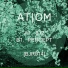 Atom