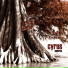 Cyrus