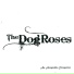The Dog Roses