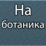 Veesmo