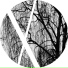 Daniel Solar & Marc Poppcke