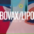 Bovax Lipo