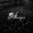 Shaya