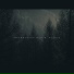 DarkStereo