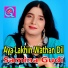 Samina Gudi