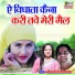 Vijay Sailani,Meena Rana