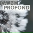 Xavier Calme & Calme