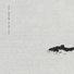 怀一法师, 马小淇