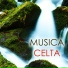 Celtic Harp Soundscapes