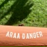 Araa