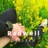 Radwell