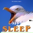 The Dreaming Seagull & Stranger Tapes