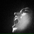 Oiseaux-Tempete