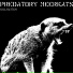 Predatory Meerkats