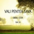 Vali Pentea Sava
