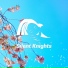 Silent Knights