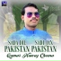 Qamar Nawaz Cheena