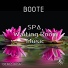 Boote