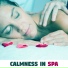 Deep Sleep Hypnosis Masters