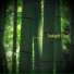 3o6ur9