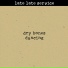 Late Late Service