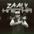 ZAAL Y.