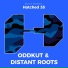 Oddkut